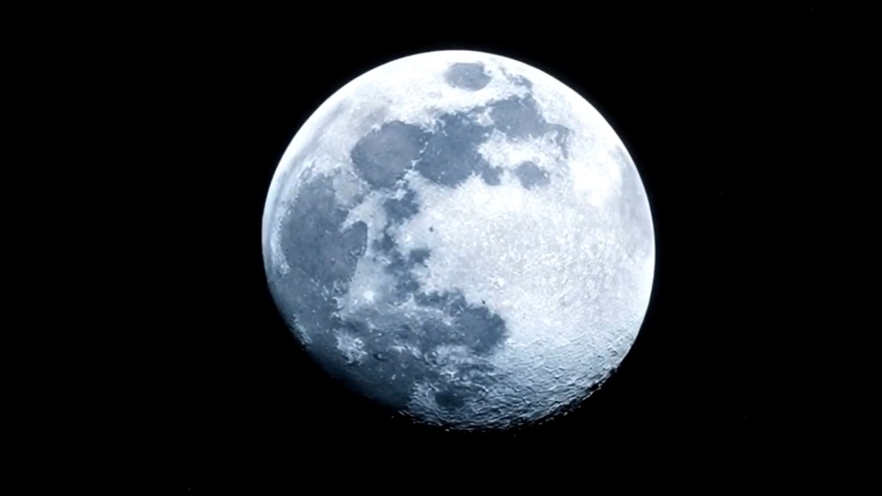 Latest Track by Pazo